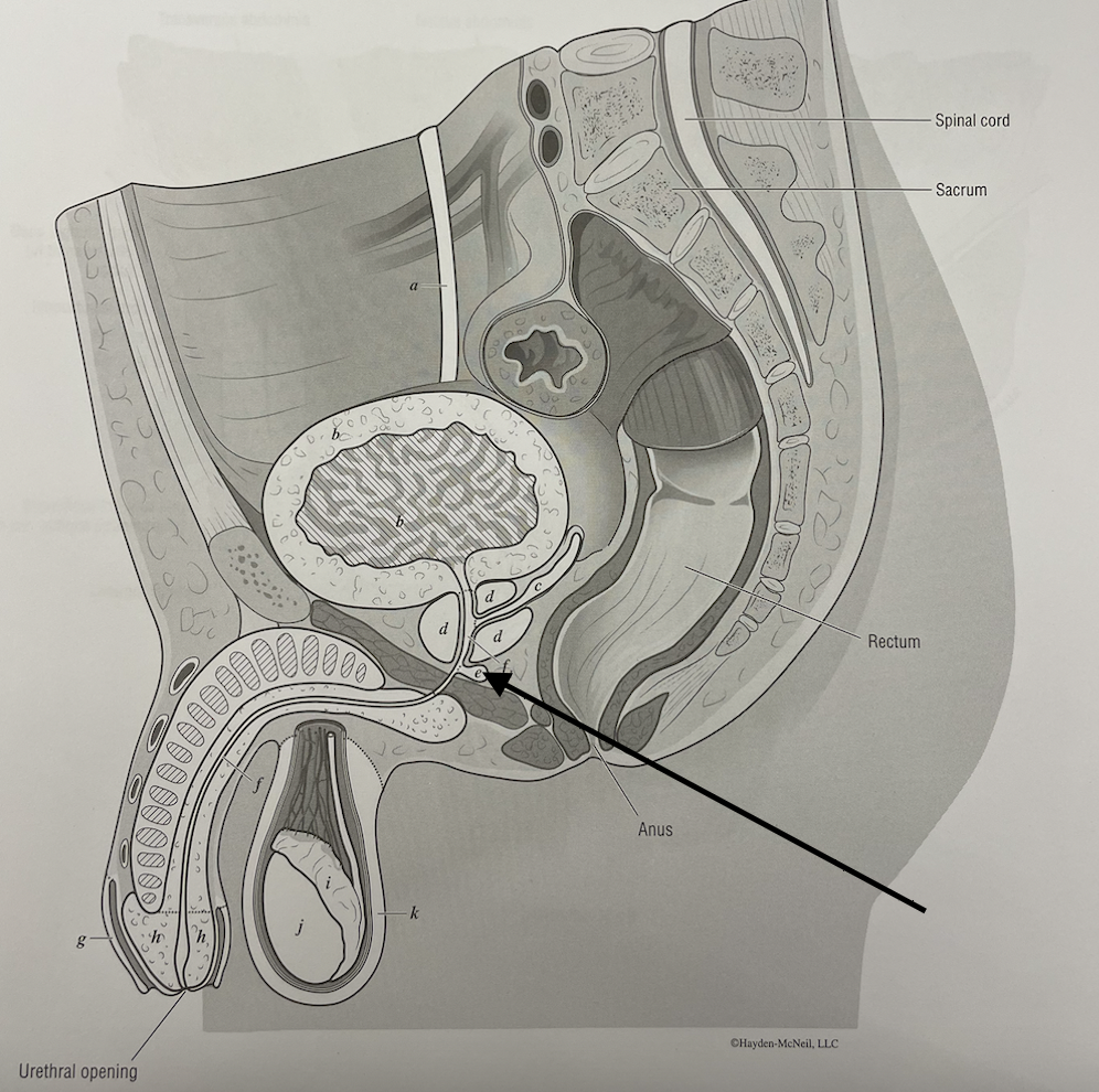 <p>what structure is this</p>