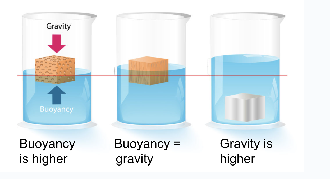 <p>Buoyancy </p>