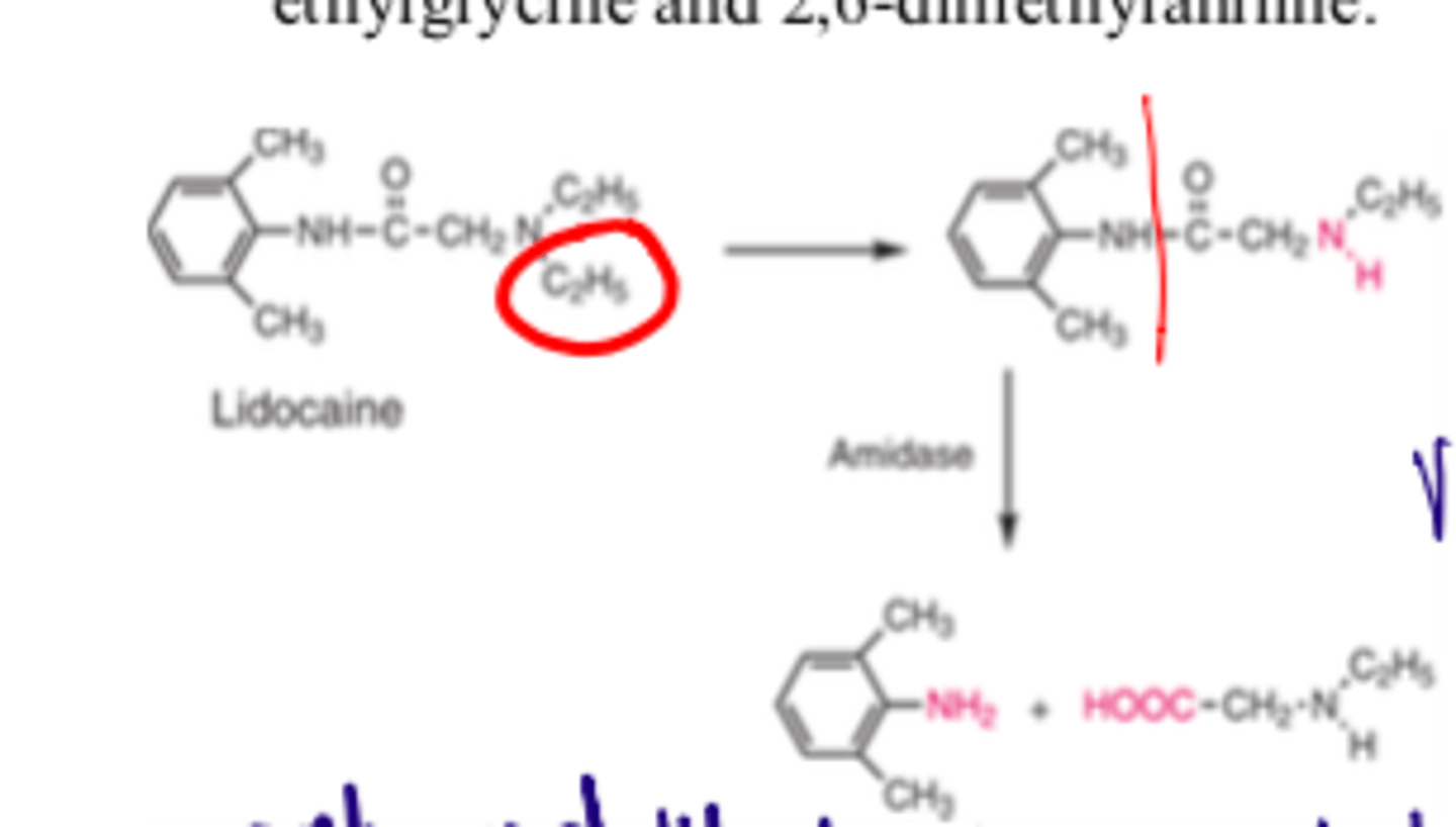 <p>- very short</p><p>Due to easy to hydrolyze functional groups</p>