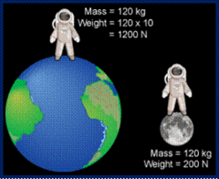 A measure of the force of gravity on an object