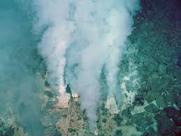 <ul><li><p>rich in barium, calcium, and silicon (so they are lightly colored)</p></li><li><p>cooler plumes</p></li><li><p>smaller chimneys </p></li></ul><p></p>