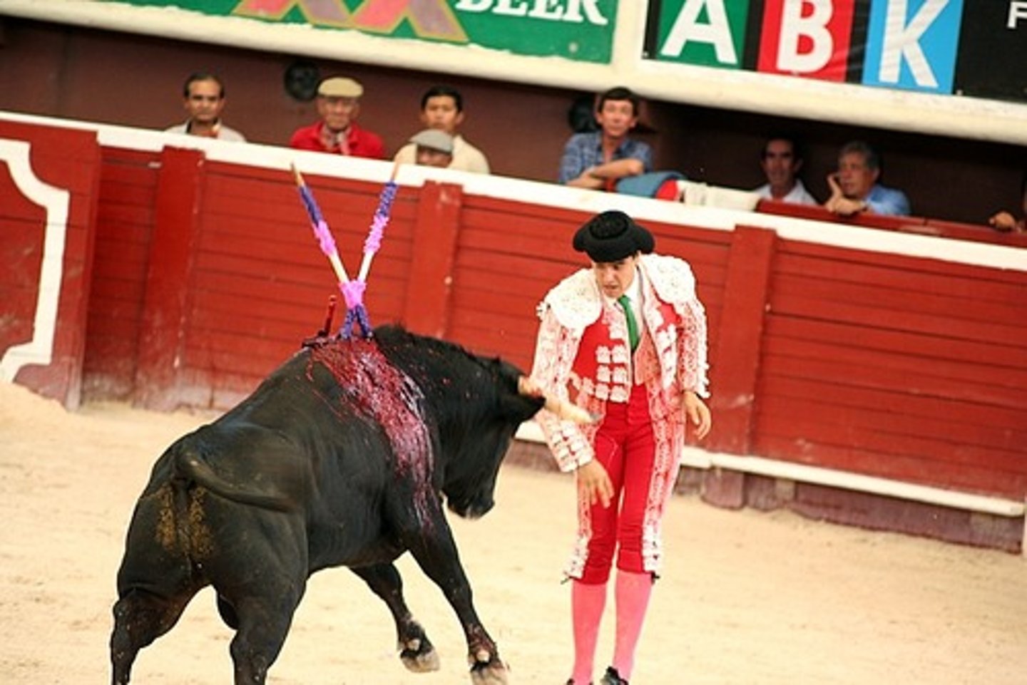<p>Bullfight - held each day of the Seville fair</p>