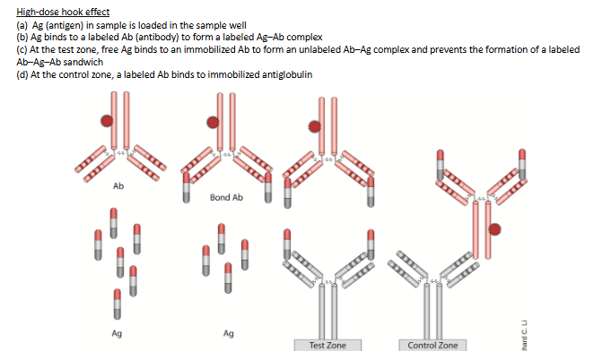 <p>False negative if sample is too concentrated of antigen to saturate dye-labelled antibody. Unbound antigen competes with complex for immobilized antibody. Prevent by applying a smaller volume or diluting sampe</p>