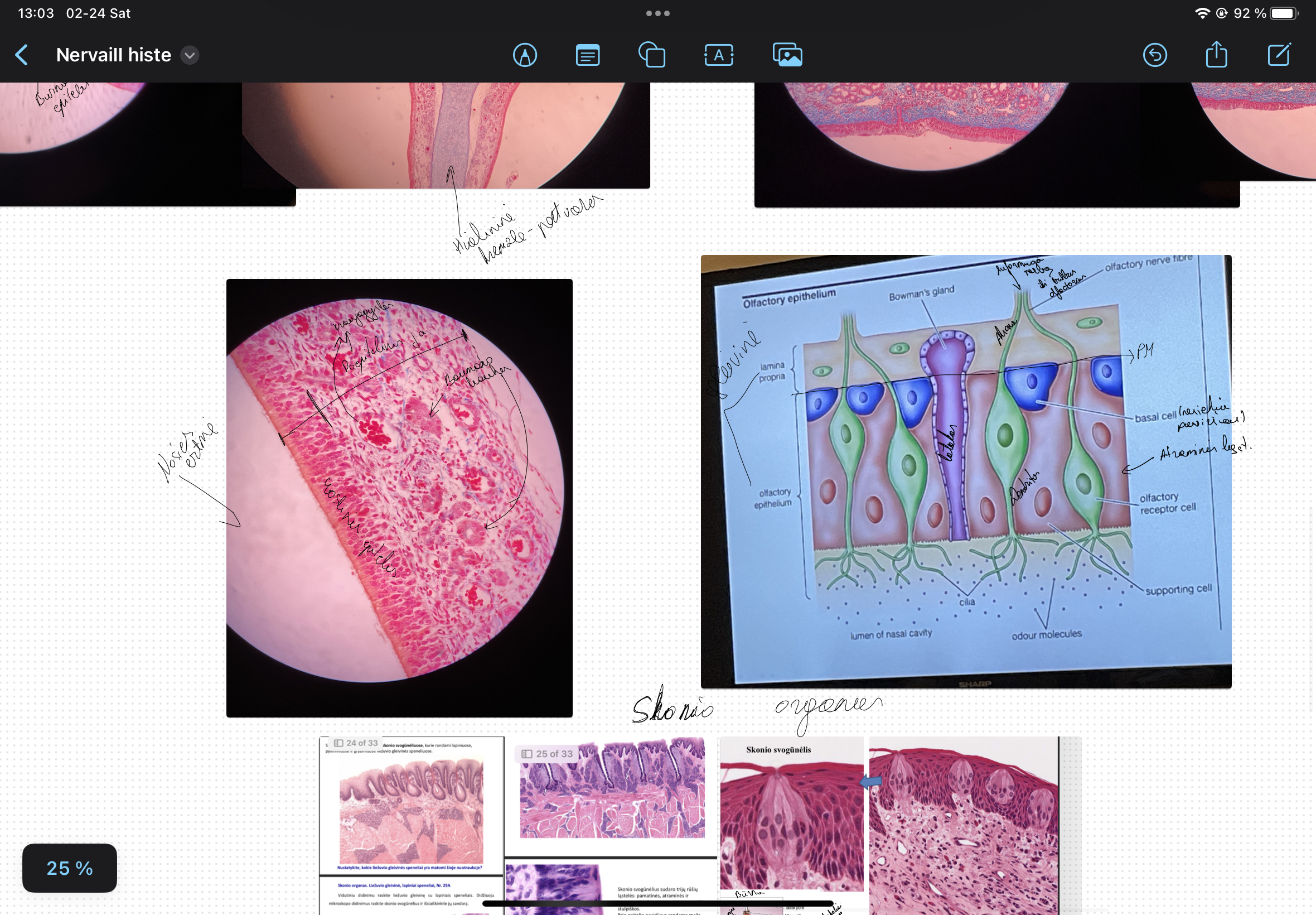 knowt flashcard image