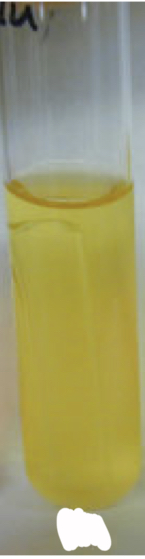 <p>Phenol red broth results</p>