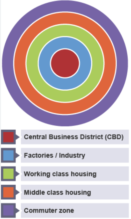 <p>1925</p><p>assumptions</p><ul><li><p>city is flat</p></li><li><p>easy transport</p></li><li><p>high land value in city centre</p></li><li><p>oldest buildings in city centre</p></li><li><p>poorer classes must live near work</p></li></ul><p>criticisms</p><ul><li><p>zones undefined, not mixed</p></li><li><p>oldest housing not always in centre</p></li><li><p>cities rarely boundless or flat</p></li></ul>