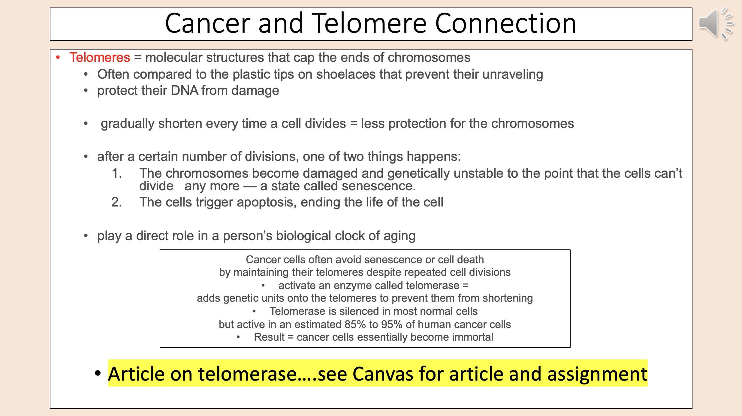 <p><span style="color: red;">telomeres</span></p>