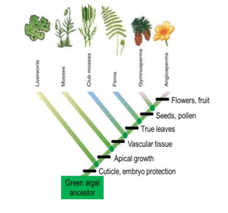 <p>see attached notes</p>