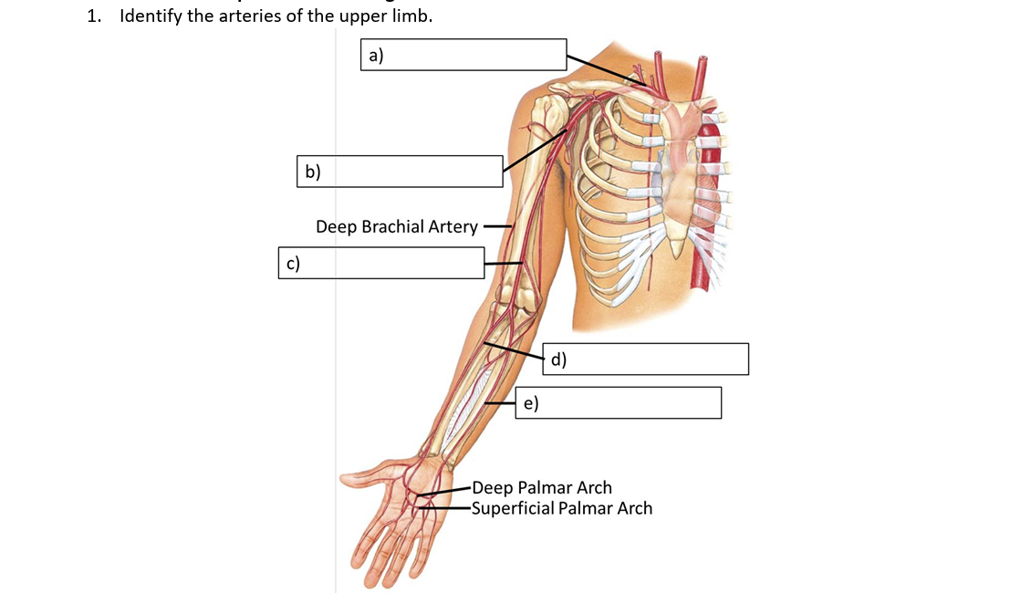 <p>A</p>