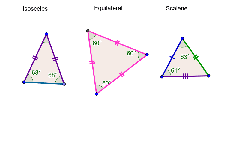 <p>Scalene: All different side lengths and different angle measures </p><p>Equilateral: All angles are congruent, all side lengths are congruent </p><ul><li><p>also considered a isoceles because it has “at least” two congruent angles</p></li></ul><p>Isoceles: “at least” two angles are congruent, opposite angles and sides are congruent (has a base angles, and vertex angles)</p><p></p>