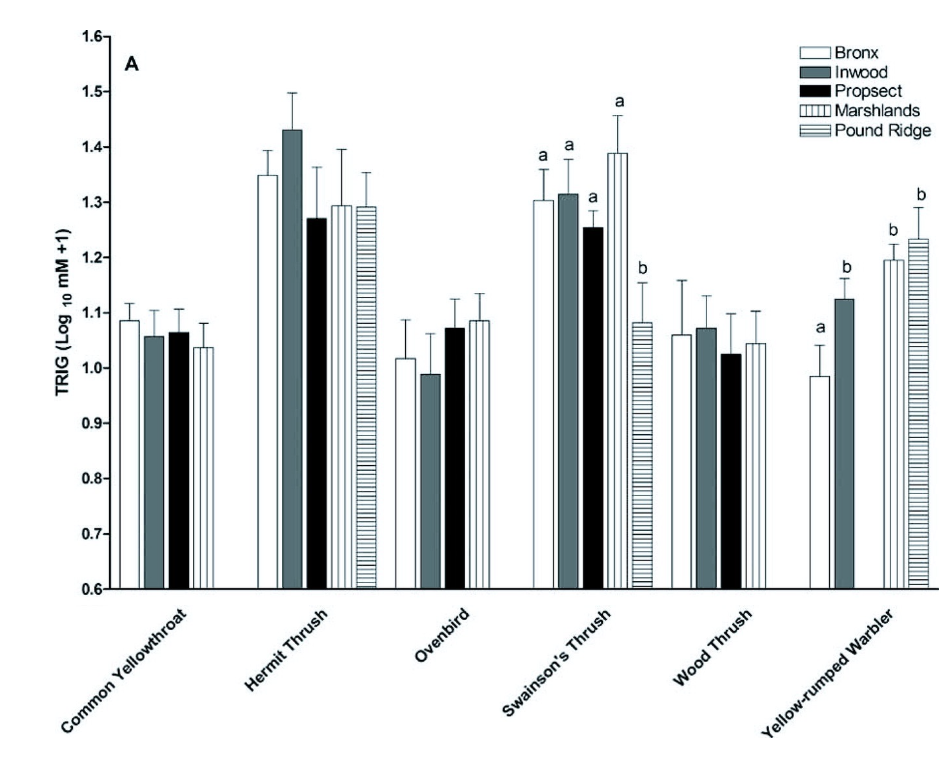 <ul><li><p>removed cowbirds and observed vireo recovery increased</p></li></ul><p></p>