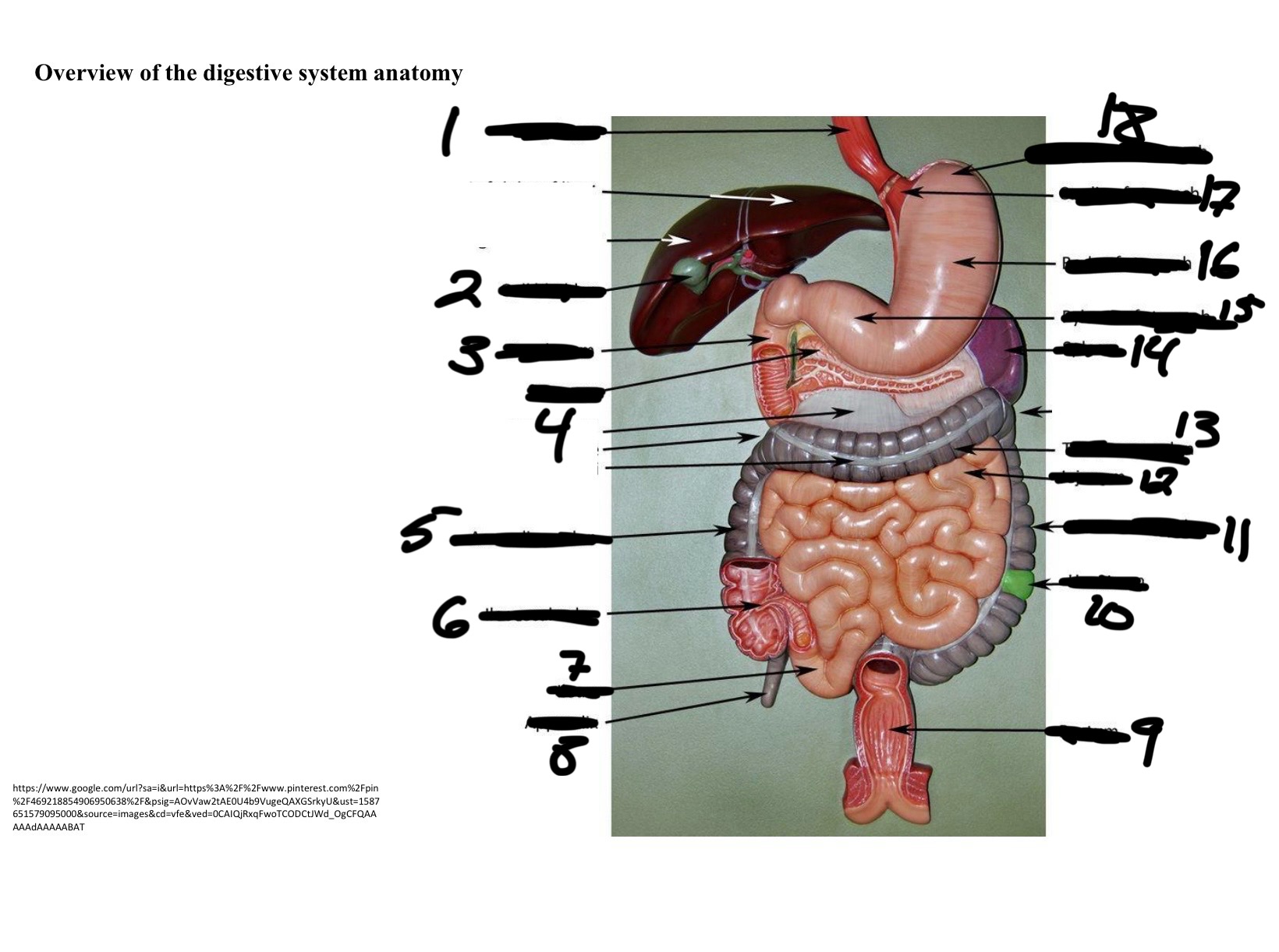 <p>8</p>