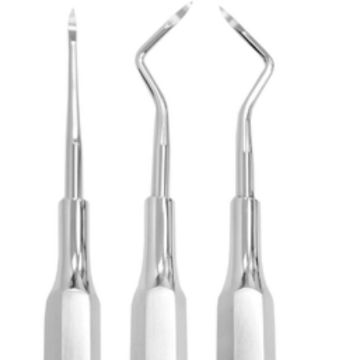 <p>Root-Tip Picks</p>