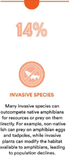 <p>Threats to Amphibians 2 (salamanders)</p>