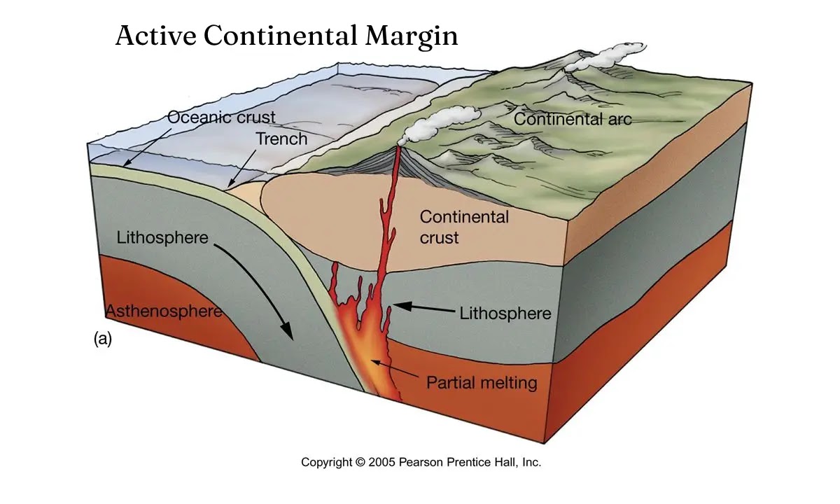 <p>continental margin</p>