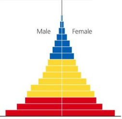 <p>Population growth of an extreme pyramid (age structure diagram)?</p>