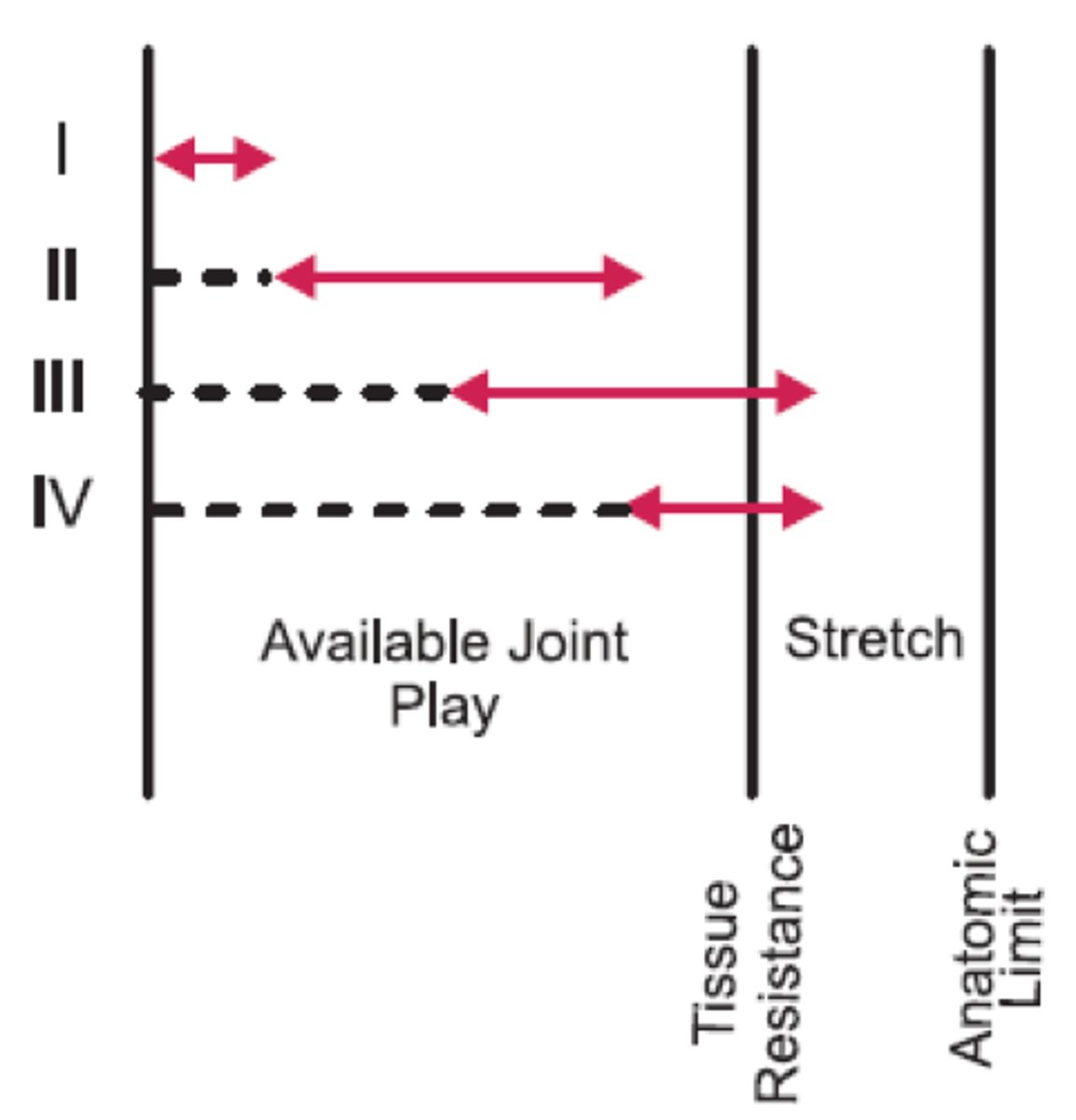 <p>initial tissue resistance (take up slack)</p>