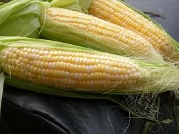 a light, white cob centered by small, yellow pieces of sweet corn. It is enclosed by a green husk that starts off white at the bottom and layers in fibrous green pieces. There is a brown type of "furry" piece at the top of each husk.