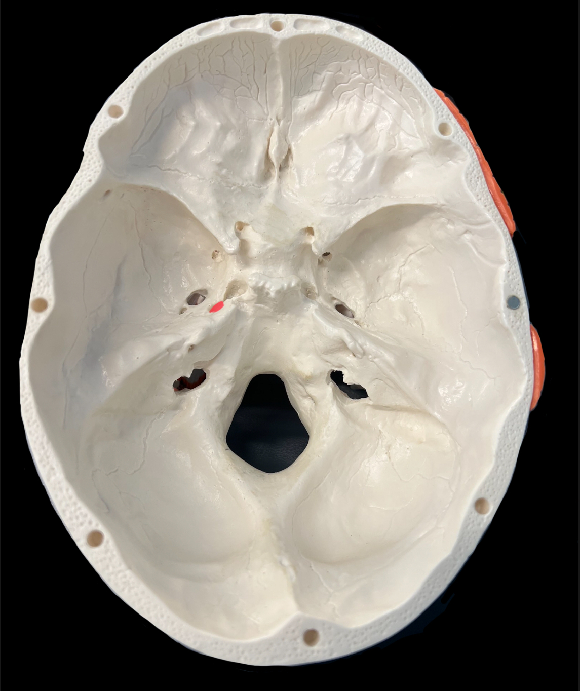 What is highlighted in red?

What goes through it?