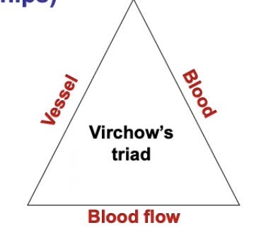 <ul><li><p>An <strong>accumulation of risk factors</strong> for venous thrombosis</p></li></ul><p></p><p>It describes:</p><ul><li><p>Issues with the <mark data-color="yellow" style="background-color: yellow; color: inherit;">blood vessel</mark></p></li><li><p>Issues with the <mark data-color="yellow" style="background-color: yellow; color: inherit;">quality of the blood</mark></p></li><li><p>Issues with the <mark data-color="yellow" style="background-color: yellow; color: inherit;">flow of blood</mark></p></li></ul><p>» If even one factor is disrupted, can cause venous thrombosis</p><p>» If more than one factor is disrupted, significantly increases risk</p><p></p>
