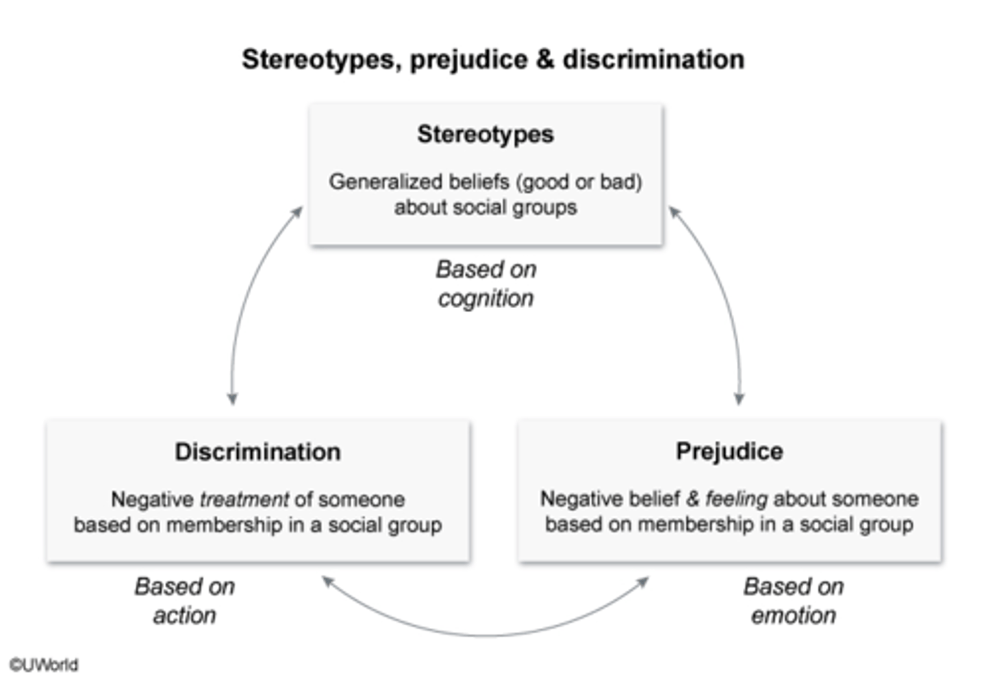 <p>Stereotypes are based on <strong>cognition</strong>/emotion while Prejudice is based on <strong>emotion</strong>/cognition</p><p></p><p>note</p><p></p><p><span class="bgB">stereotypes</span>: generalized beliefs (good or bad) about social groups</p><p></p><p><span class="bgB">prejudice</span>: negative belief &amp; feeling about someone based on membership in a social group</p>