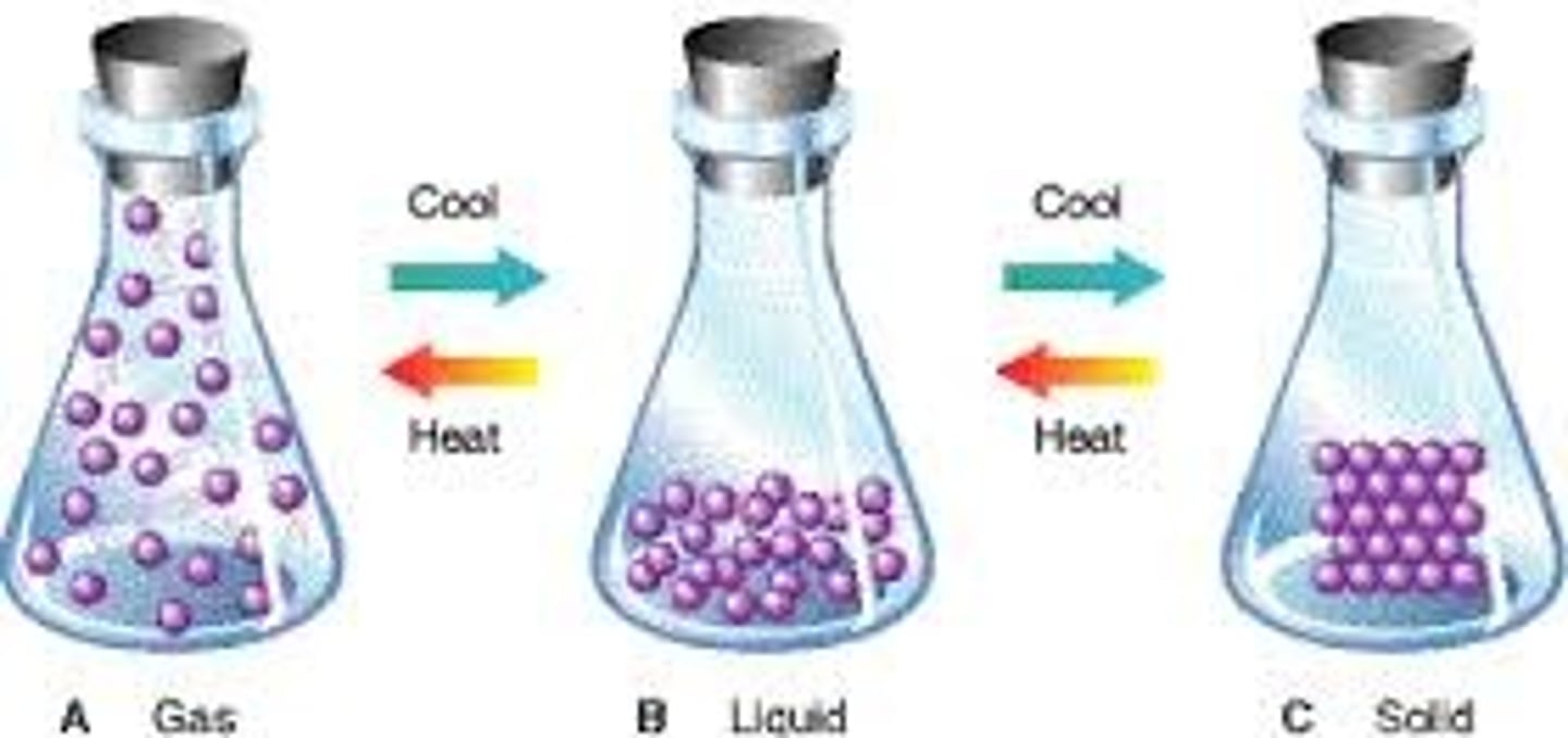 <p>A form that matter can take - solid, liquid, or gas.</p>