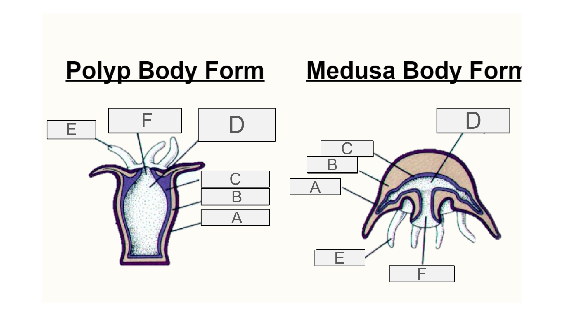 <p>What is B?</p>