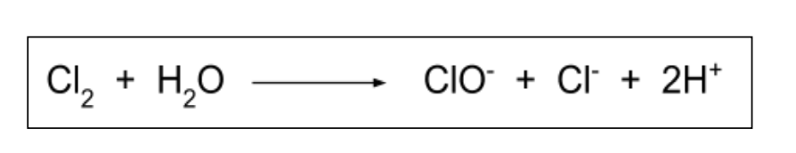 <p>Species is both oxidised and reduced</p><p>Both increase and decrease in oxidation number for that species </p>