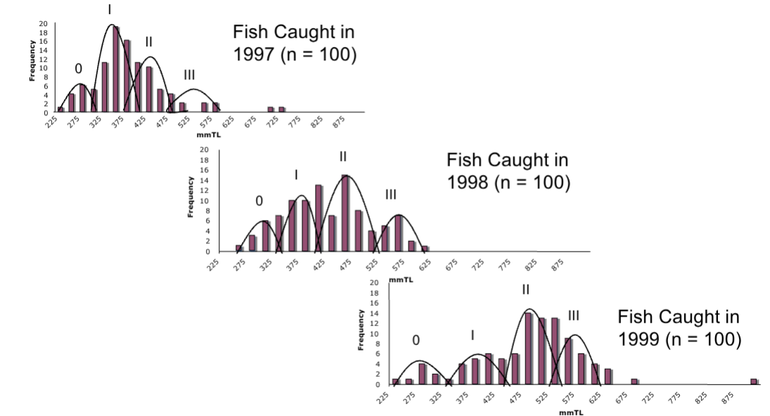 <ul><li><p><span>El Niño / La Niña event in 1997-2000</span></p></li><li><p><span>Data was analyzed using Length-frequency Distributions and Otolith Readings</span></p></li><li><p><span>Data indicated accelerated growth in 1996-1997 (high SST)</span></p></li><li><p>Data indicated slowed growth in 1998-2001 (low SST)</p></li></ul><p></p>