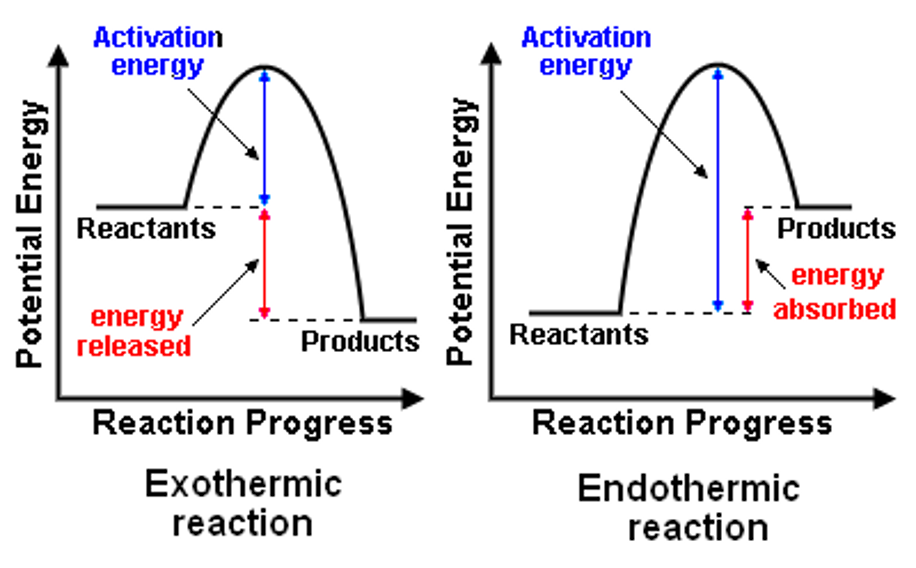 <p>they are diagrams display a system’s change in energy throughout a chemical reaction. (display either an exothermic or endothermic reaction)</p>