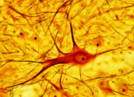 <p>What is this?</p>