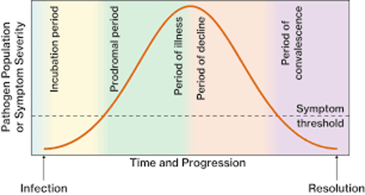 <p>1. incubation: development of infection</p><p>2. prodromal: early sign or symptom of disease</p><p>3. illness: actual disease occurs</p><p>4. decline: immune system mounts successful defense</p><p>5. convalescence: symptoms resolved</p>