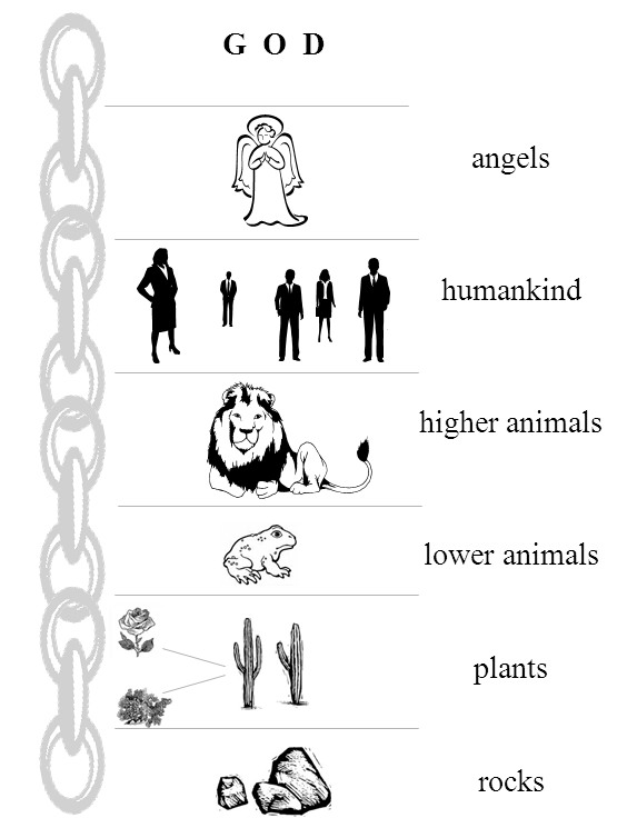 <p><span>God, angels, humans, animals, plants, and minerals.</span></p>