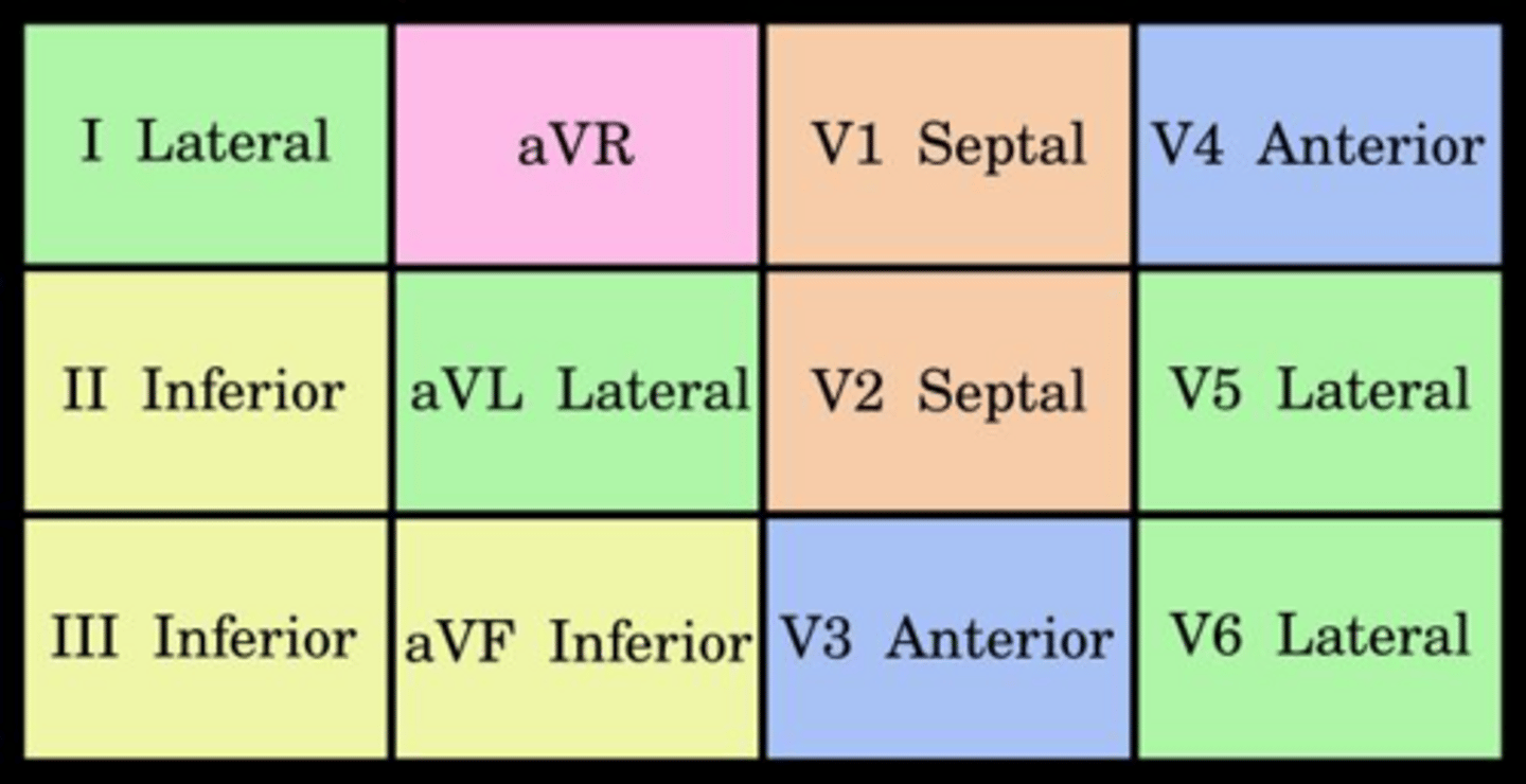 <p>ECG (Electrocardiogram)</p>