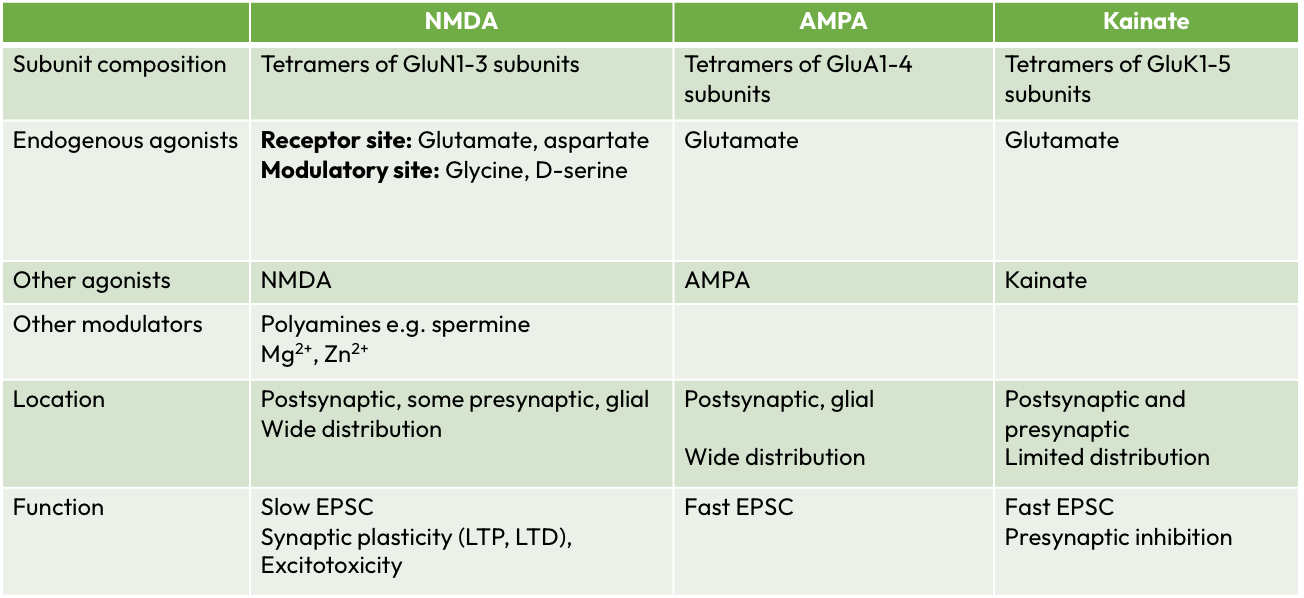 <p>AMPA, NMDA, Kainate</p>