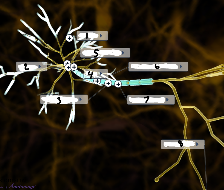 <p>Label the image</p>