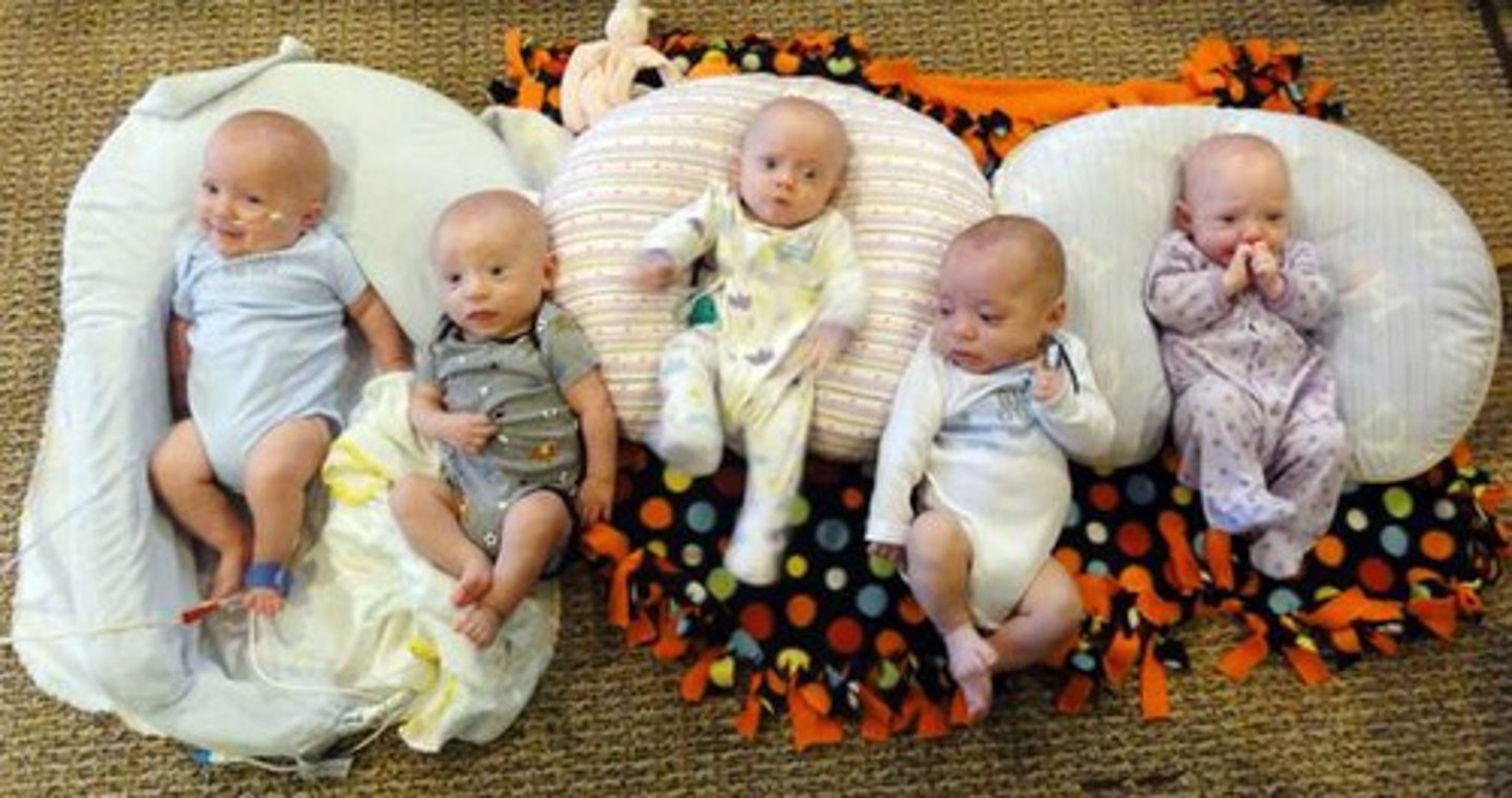 <p>five(____plets)</p>