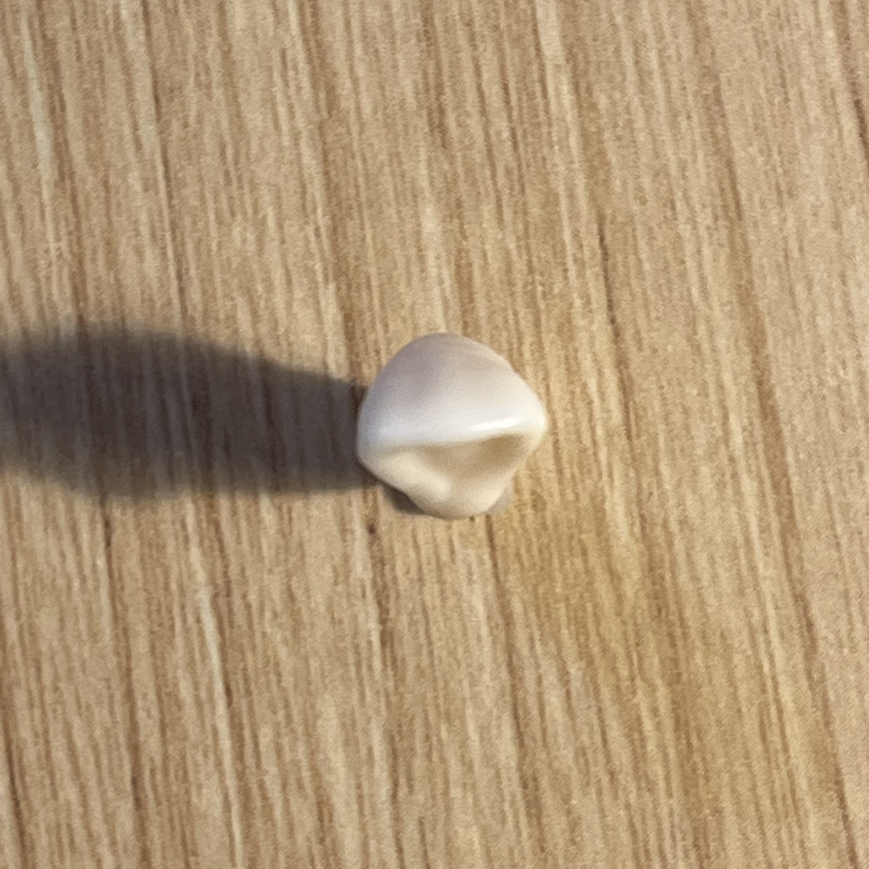 <p>What tooth is this (with view)?</p>