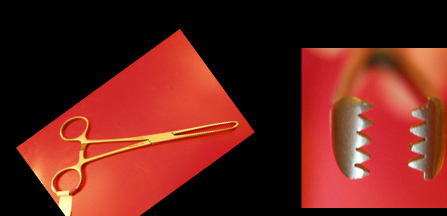<p>Identify Forceps</p><p>Job</p>
