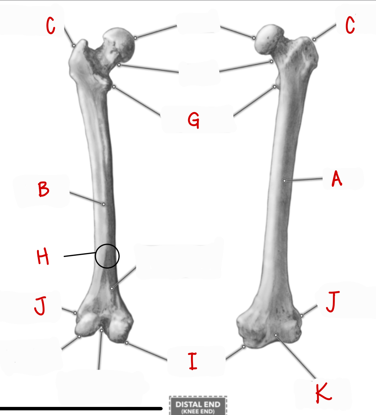 <p>g</p>