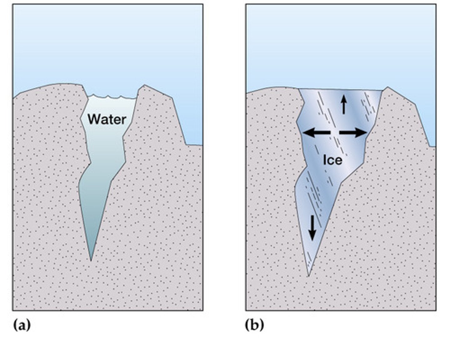 <p>the weathering of rock by repeated freezing and melting of water</p>