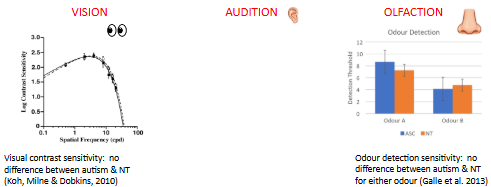 <p>research has found no significant difference between autistic + neurotypical participants on visual contrast, odour detection + audition sensitivity</p><ul><li><p>this suggests that basic sensory functions are intact in autism, so differences in sensory experiences are probably not rooted in fundamental differences in sensory organs</p></li></ul><p></p>