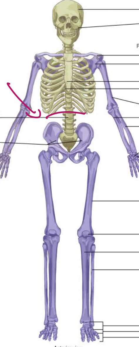 <p>What does this line represent?</p>