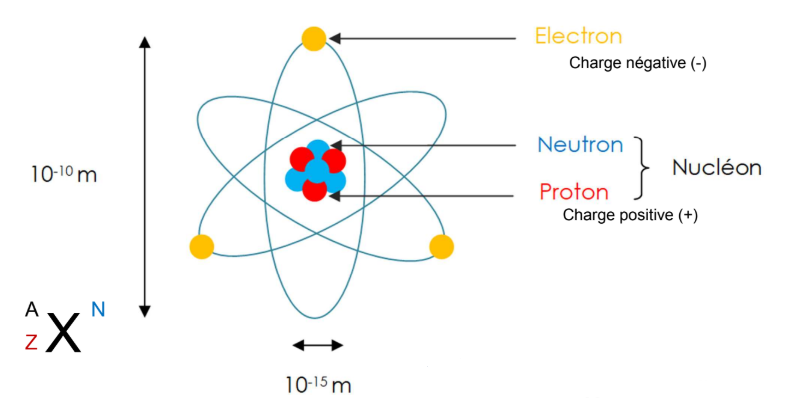 <p>La matière est constituée d’atomes. Les atomes sont composés d’un noyau et d’un cortège d’électrons.</p><ul><li><p>Dans le noyau, on retrouve des protons chargés positivement et des neutrons neutre, le tout formant les nucléons. Les noyaux peuvent être dans des états dit stables ou instables.</p></li><li><p>Le cortège électronique est lui composé d’électrons chargés négativement. Dans un atome, il y a autant de électrons que de protons</p></li></ul><p></p>
