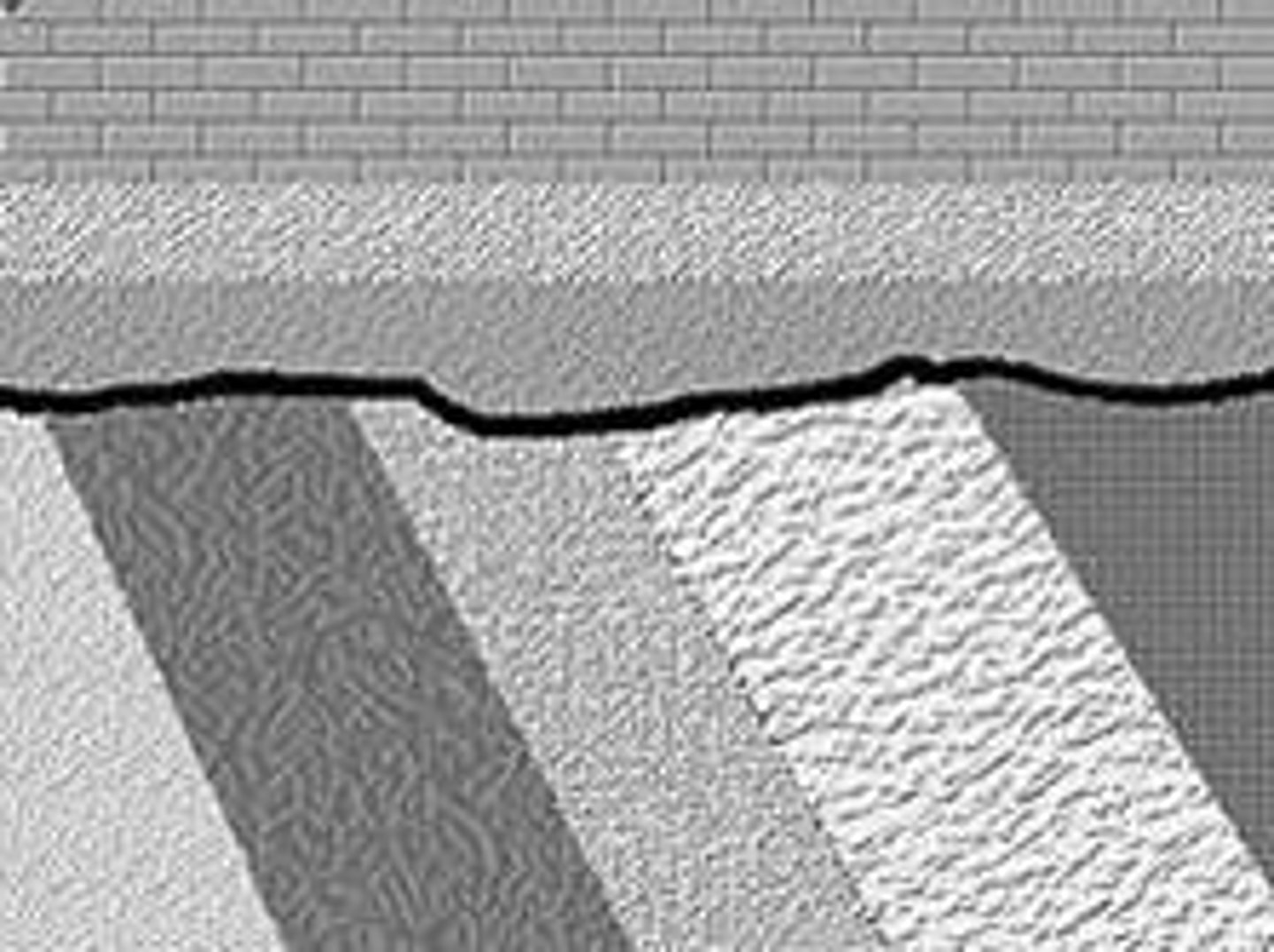 <p>Fossils persevered in sedimentary rock layers that ca be used to trace evolutionary history of a species</p>