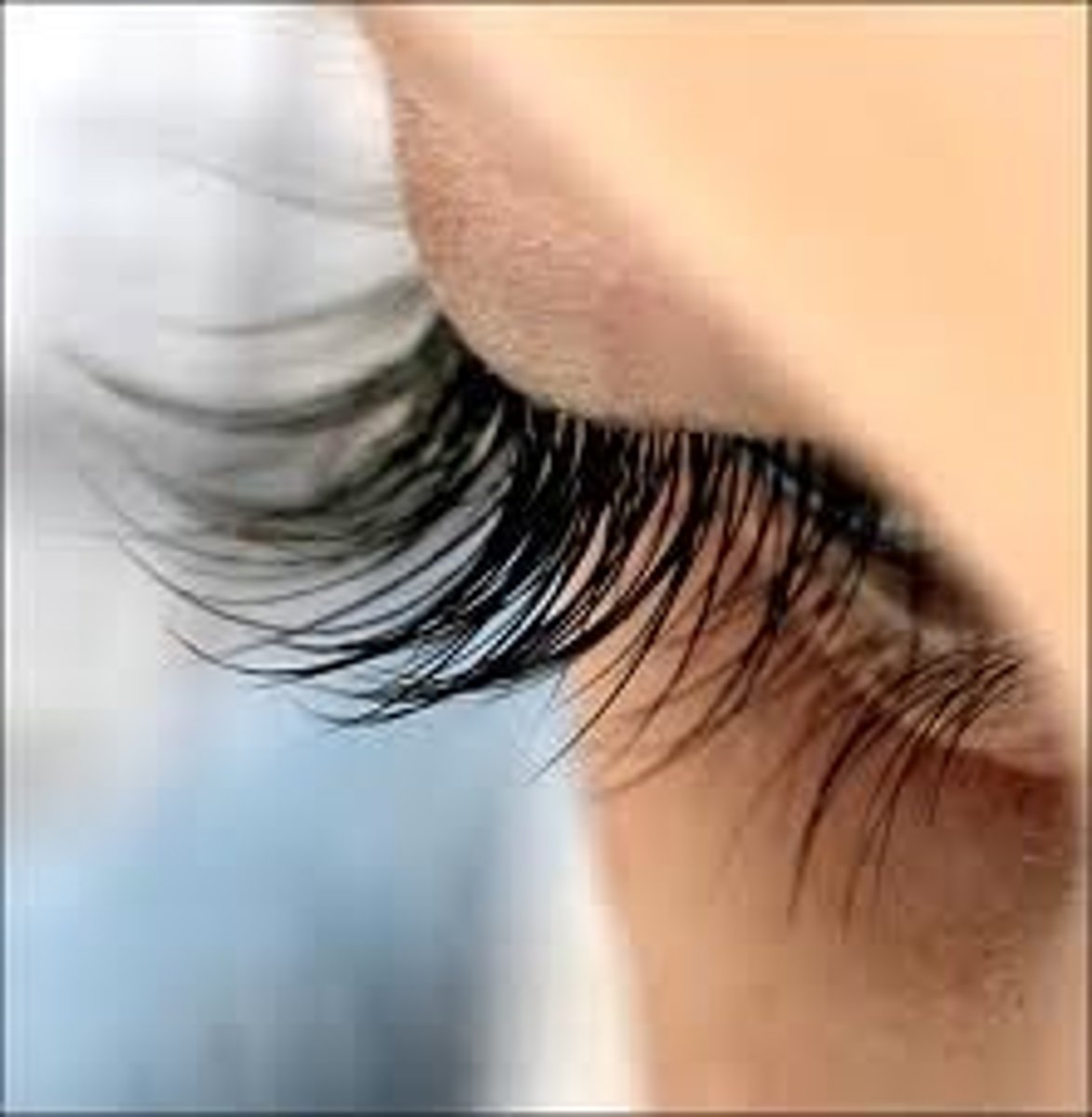 <p>eyelashes</p>