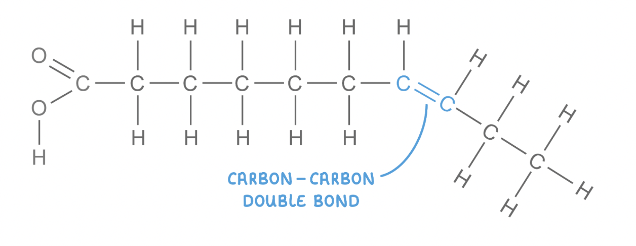 <ul><li><p><strong>These have hydrocarbon chains that do not contain the maximum number of hydrogen atoms bonded to the carbon atoms.</strong></p></li><li><p><strong>The hydrocarbon chain has at least one carbon-carbon double bond, which causes the chain to kink.</strong></p></li><li><p><strong>Lipids that contain unsaturated&nbsp;fatty acids have&nbsp;lower melting points and so are usually liquid at room temperature (oils).</strong></p></li></ul><p><strong>Unsaturated fatty acids may either be monounsaturated or polyunsaturated:</strong></p><ul><li><p><strong>Monounsaturated&nbsp;- One double bond.</strong></p></li><li><p><strong>Polyunsaturated&nbsp;- Two or more double bonds.</strong></p></li></ul><p></p>