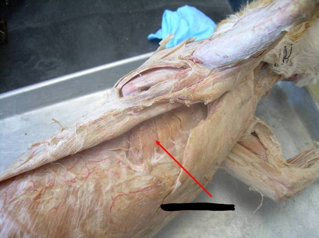 <p></p>