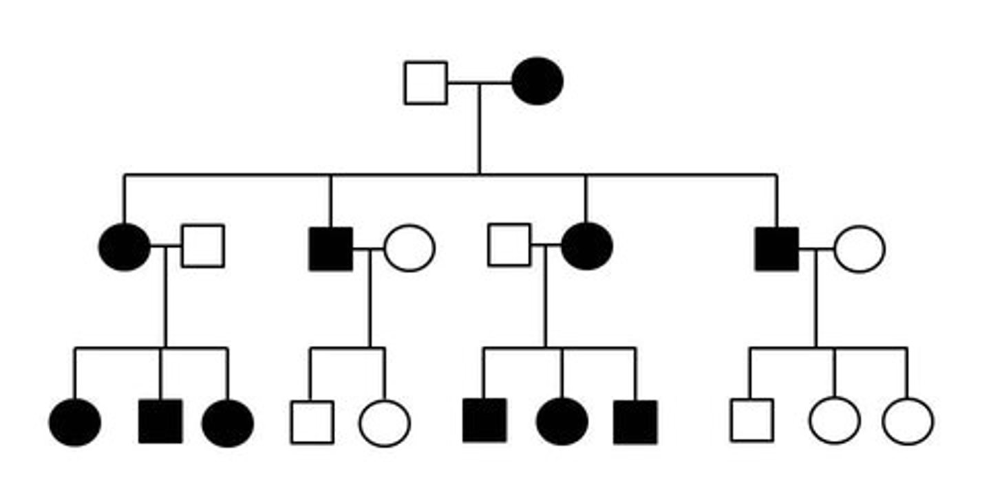 <p>Identify the pattern of inheritance:</p>