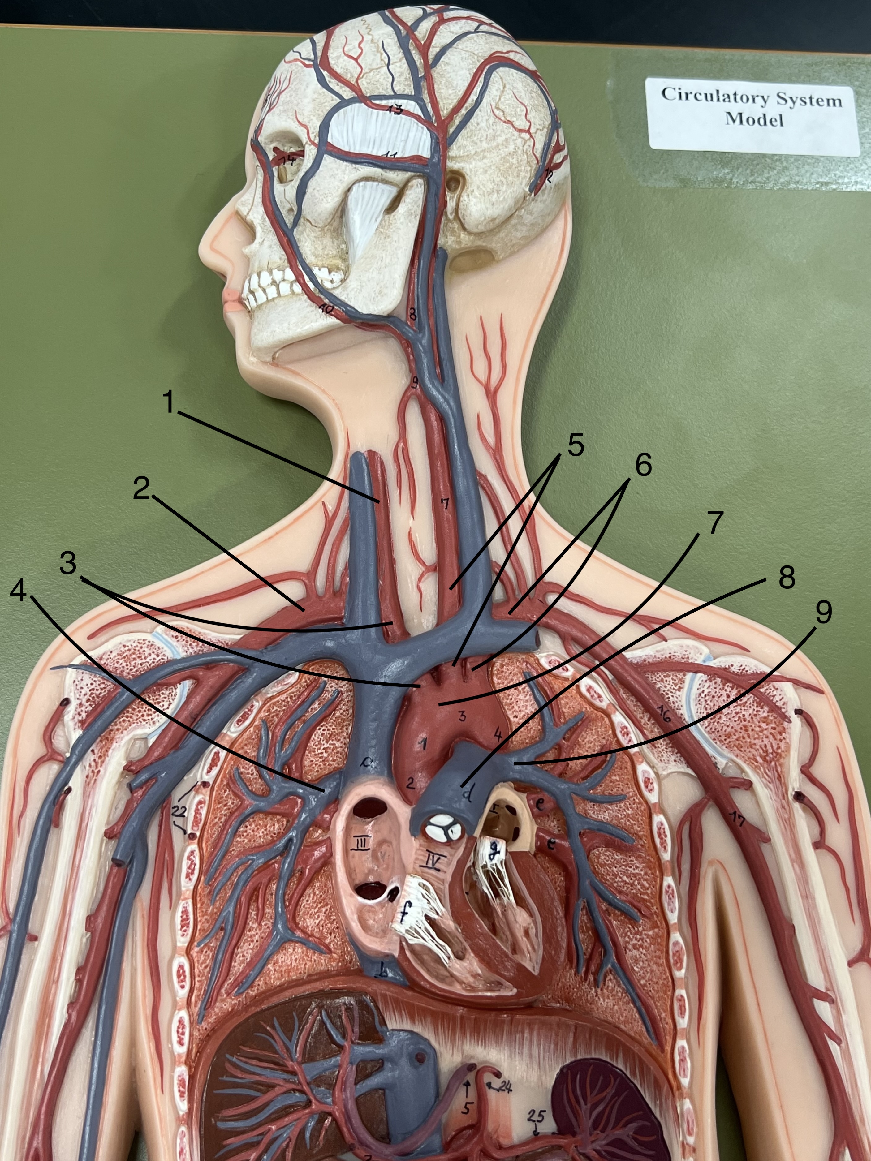 <p>what is #2</p>